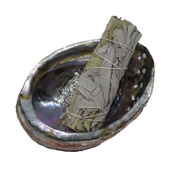 White Sage and Eucalyptus - 4"