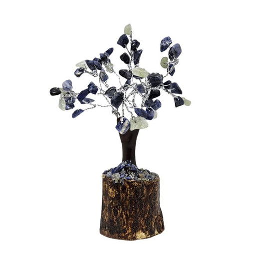 Tree: Birthstone - August