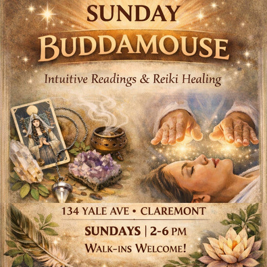 Readings or Reiki Healings with TheNativeHealer - Sunday, February 15